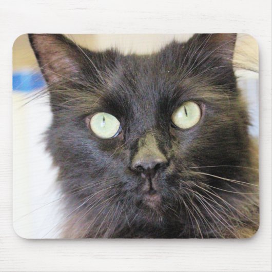 Katze Mousepad (Vorne)