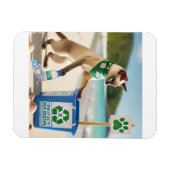 Katze Müllabfuhr sauber den Strand Magnet (Horizontal)