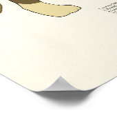 Katze Muskelanatomie Veterinärdiagramm Poster (Ecke)