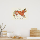Katze Muskelanatomie Veterinärdiagramm Poster (Küche)