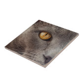 Katze Nahe dekorative Tile Fliese (Seite)
