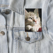 Katze, Natur, Haustier Button (Insitu)