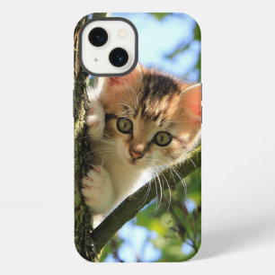 Katze, Natur, Kätzchen iPhone 13 Hülle