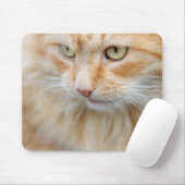 Katze, Natur, Kätzchen Mousepad (Mit Mouse)