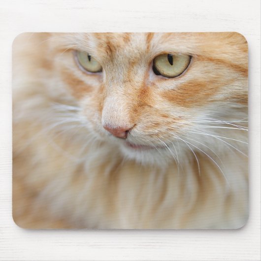 Katze, Natur, Kätzchen Mousepad (Vorne)