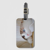 Katze, Natur, Kitten Gepäckanhänger (Vorderseite Vertikal)