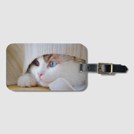 Katze, Natur, Kitten Gepäckanhänger (Vorderseite (Horizontal))