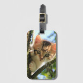 Katze, Natur, Kitten Gepäckanhänger (Vorderseite Vertikal)