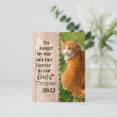 Katze nicht mehr auf unserer Seite, sondern für im Postkarte (Stehend Vorderseite)