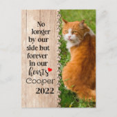 Katze nicht mehr auf unserer Seite, sondern für im Postkarte (Vorderseite)