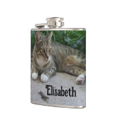 Katze, niedlich, Haustier, Graue, Zorn, Haustier, Flachmann (Links)