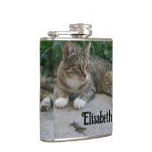 Katze, niedlich, Haustier, Graue, Zorn, Haustier, Flachmann (Rechts)