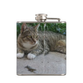 Katze, niedlich, Haustier, Graue, Zorn, Haustier, Flachmann (Rückseite)