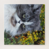 Katze, niedlich, Haustier, Graue, Zorn, Haustier, Puzzle (Horizontal)