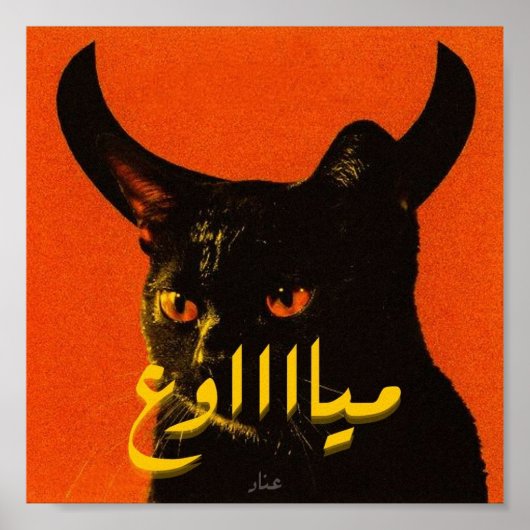 Katze, niedlich, Kätzchen, Kätzchen, lustig, Katze Poster (Vorne)