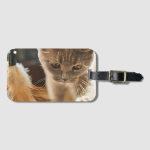 Katze, Niedlich, klein Gepäckanhänger