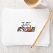 KATZE NIEDLICHE RUNDE DER KATZKATZKATZRücksendeadr Adressaufkleber (Insitu)