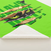 Katze Noir & Plagg | Ausstreichen Sherpadecke (3/4)