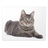 Katze Notizblock (Vorderseite)
