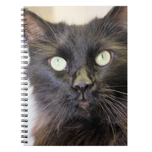Katze Notizblock (Vorderseite)