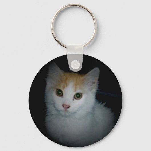 Katze Nr. 4 Schlüsselanhänger (Vorderseite)