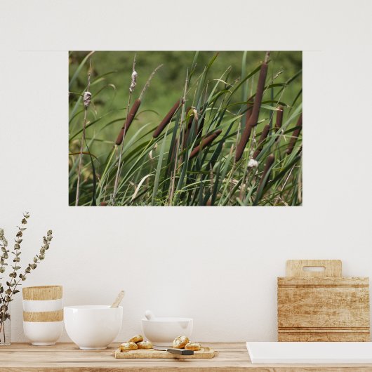 Katze o' neun Schwanz Poster (Küche)