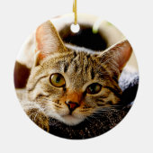 Katze oder Hundekatze Liebliches Memorial Keepake  Keramik Ornament (Hinten)