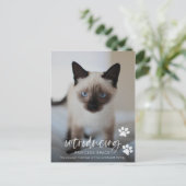 Katze oder Kitten Adoption Foto-Karte, Einführung Postkarte (Stehend Vorderseite)