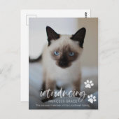 Katze oder Kitten Adoption Foto-Karte, Einführung Postkarte (Vorne/Hinten)