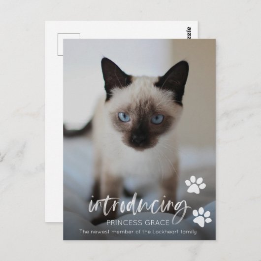 Katze oder Kitten Adoption Foto-Karte, Einführung  Postkarte (Vorne/Hinten)