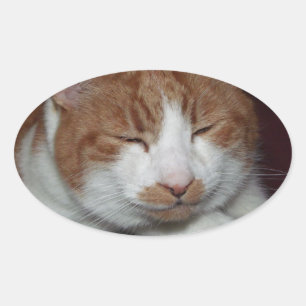 Katze Ovaler Aufkleber