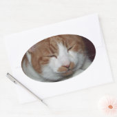 Katze Ovaler Aufkleber (Umschlag)