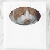 Katze Ovaler Aufkleber (Tasche)