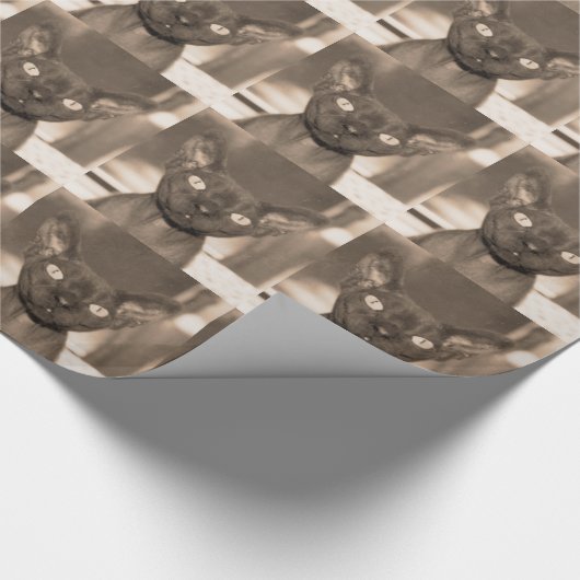 Katze Packpapier| Sepia-Devons Rex Sphynx Gott Geschenkpapier (Ecke)