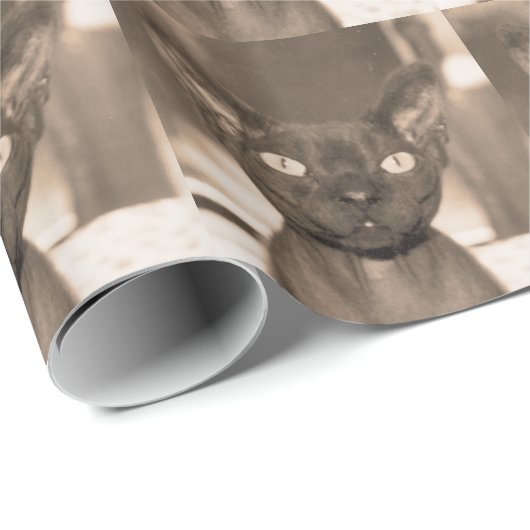 Katze Packpapier| Sepia-Devons Rex Sphynx Gott Geschenkpapier (Rolleneckpunkt)
