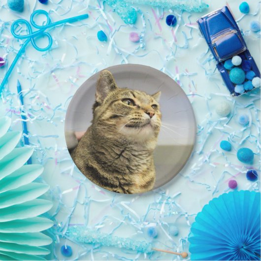 Katze Pappteller (Party)