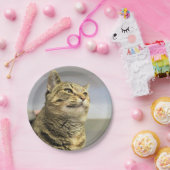 Katze Pappteller (Party)