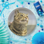 Katze Pappteller (Party)