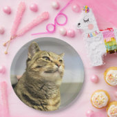 Katze Pappteller (Party)
