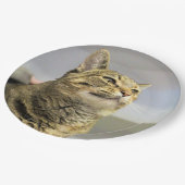 Katze Pappteller (Schrägansicht)