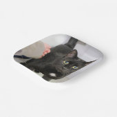 Katze Pappteller (Gewinkelt)