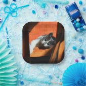 Katze Pappteller (Party)