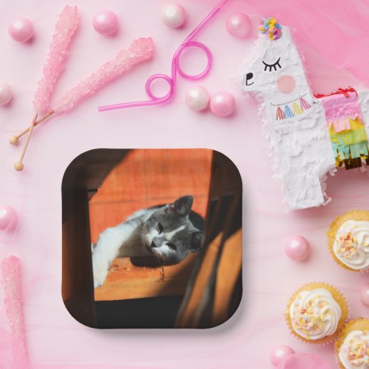 Katze Pappteller (Party)