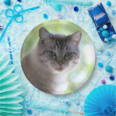 Katze Pappteller (Party)