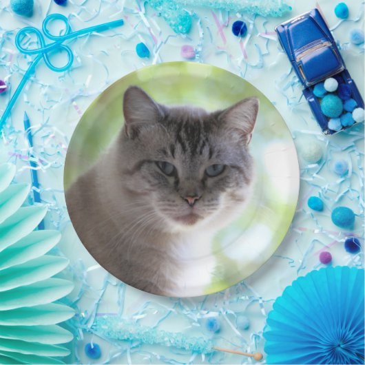 Katze Pappteller (Party)