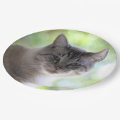 Katze Pappteller (Schrägansicht)