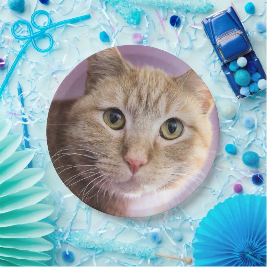 Katze Pappteller (Party)