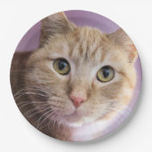 Katze Pappteller (Vorderseite)