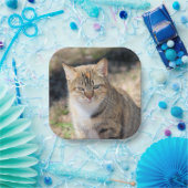 Katze Pappteller (Party)