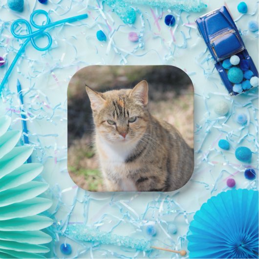 Katze Pappteller (Party)